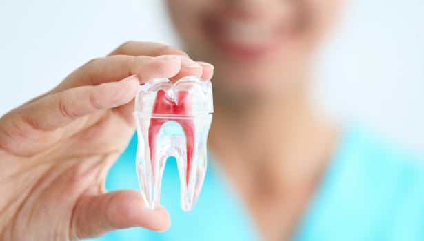 Is Root Canal A Painless Procedure?-New Project